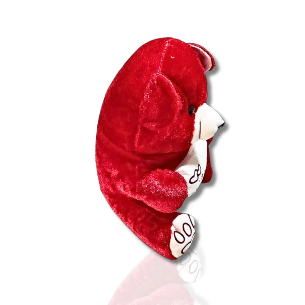 32cm Red Teddy Bear with Heart- Saadhya Mart Right View