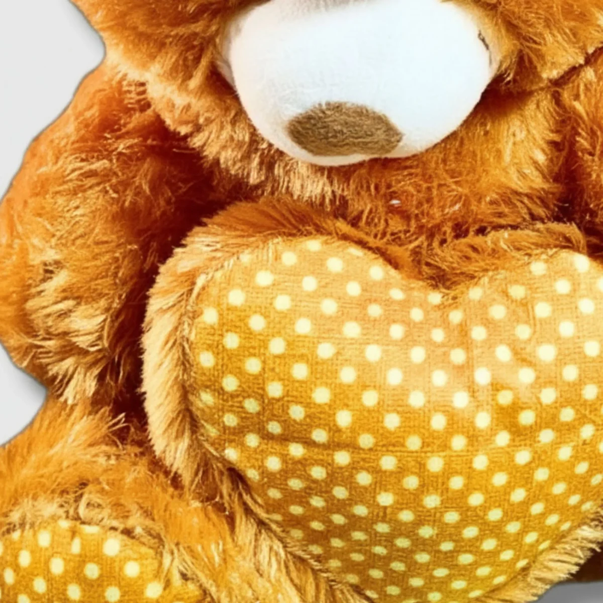 Honey Dot Love Teddy- Saadhya Mart Closeup View
