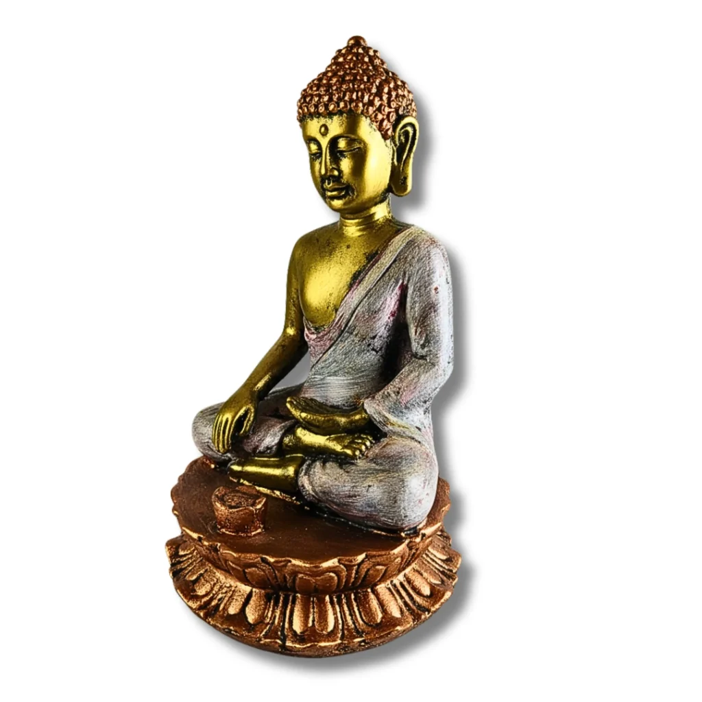 Meditating Buddha Idol - Saadhya Mart Slight Left View