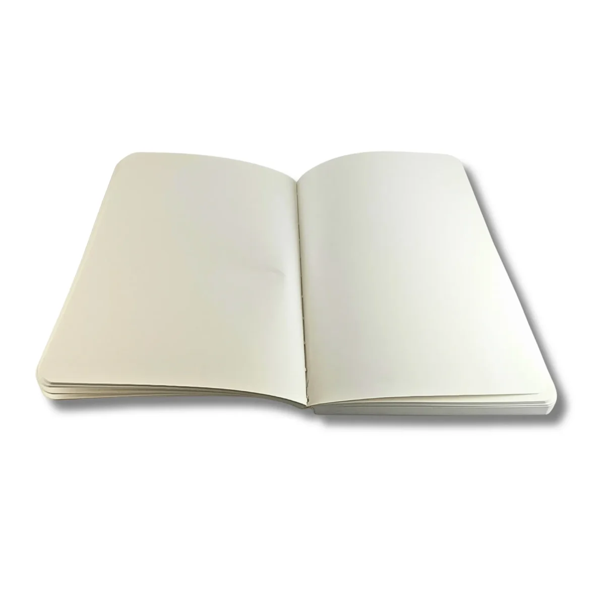 Classic Series Premium Hardbound Diary- Saadhya Mart (6)